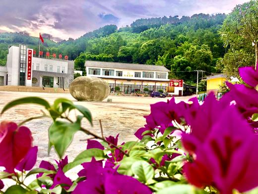 悠然柠檬庄园 民宿 远离城市喧嚣，走进大自然 商品图10