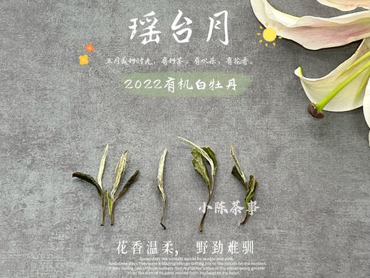 【1斤收藏装】2022有机白牡丹，开在仙山旷野的高岭之花 商品图1