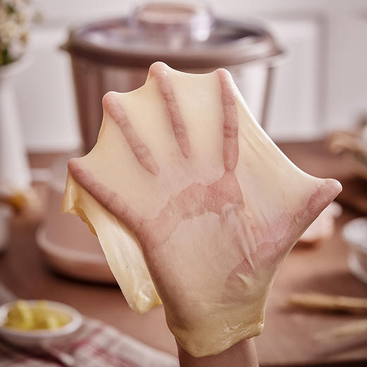 【小程序】小熊和面机 HMJ-A50N1 米黄+棕色 中式和面+西式面包+醒面 商品图7