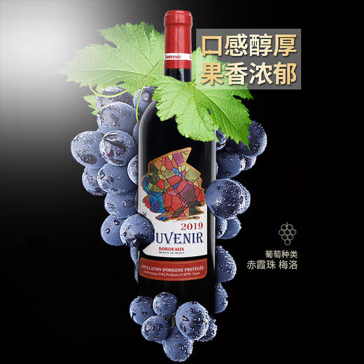 75CL苏薇妮S3干红葡萄酒（酒年份随机发货） 商品图4