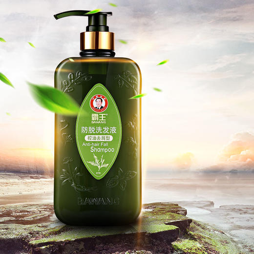 霸王防脱洗发液（控油去屑型）400ml 商品图3