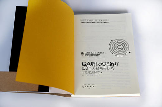 (仓发) 心理咨询与治疗译丛-焦点解决短程治疗：100个关键点与技巧/化学工业出版社/[英]哈维·拉特纳（Harvey,Ratner）,[英]埃文·乔治/9787122297280 商品图7