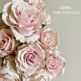 厄瓜多尔PEARL ROSE-GOLD金发美女10支