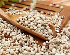 内蒙古有机薏仁米1000克