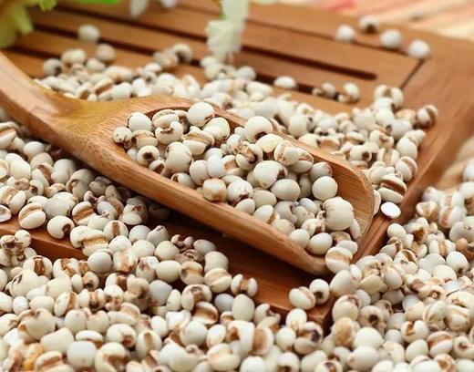 内蒙古有机薏仁米1000克 商品图0