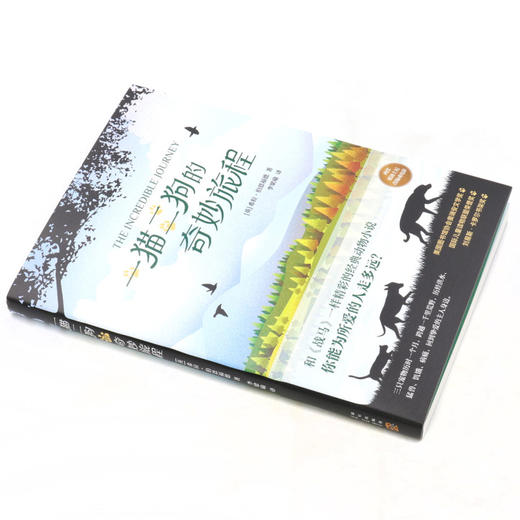 一猫二狗的奇妙旅程 商品图1