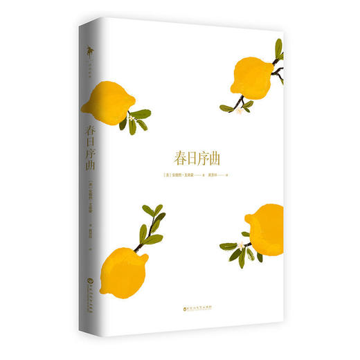 夏日终曲安德烈艾席蒙经典作品请以你的爱找寻我春日序曲冬日恋曲 商品图7