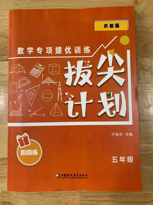 拔尖计划 数学专项提优训练（苏教版）1~6年级 商品图5