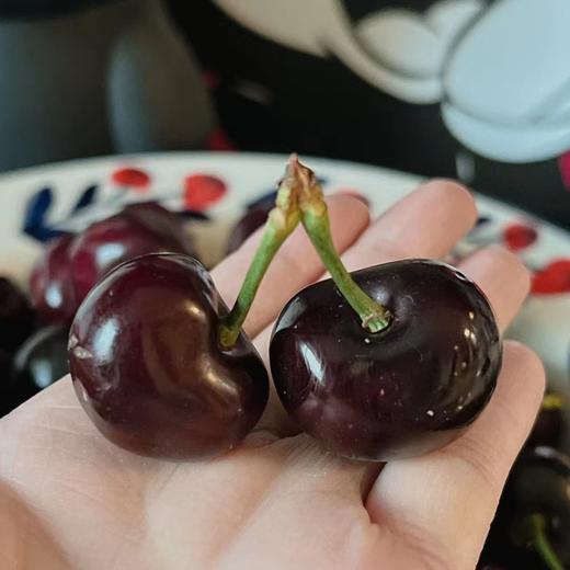 来自北纬34度的黑宝石 | 四川汉源黑珍珠甜樱桃2斤 [福利品] 商品图4