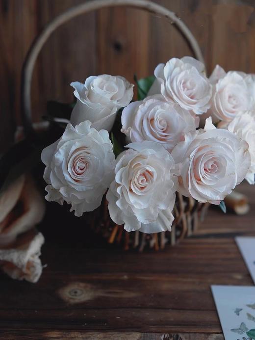 辛西娅玫瑰【用一束花，讲述一个浪漫的故事】简小姐精选 温柔奶油色玫瑰 辛西娅 2件包邮 下单5天发货 商品图3