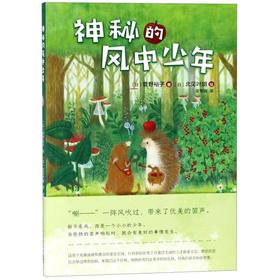 神秘的风中少年