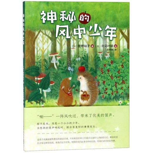 神秘的风中少年 商品图0