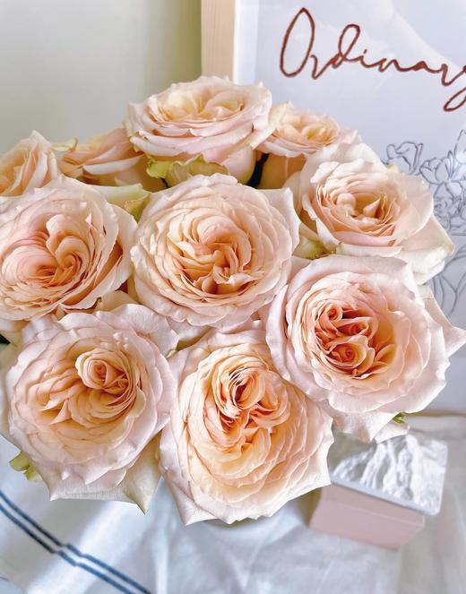 焦糖布丁【拾季】简小姐精选 温柔奶茶色玫瑰 焦糖布丁9+1枝（防花损） 下单3天发货 商品图2