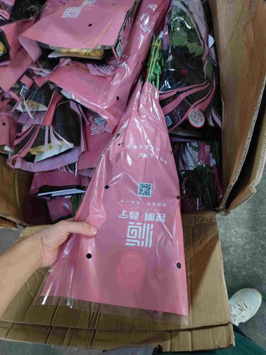 香槟，张良 商品图2