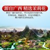 庄民 茉莉花 大朵型精选好货 茶叶花草茶泡水30g/罐 商品缩略图3
