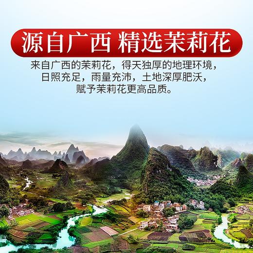 庄民 茉莉花 大朵型精选好货 茶叶花草茶泡水30g/罐 商品图3