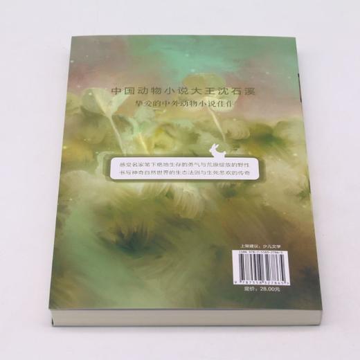 西顿动物记/沈石溪挚爱动物小说系列 商品图3