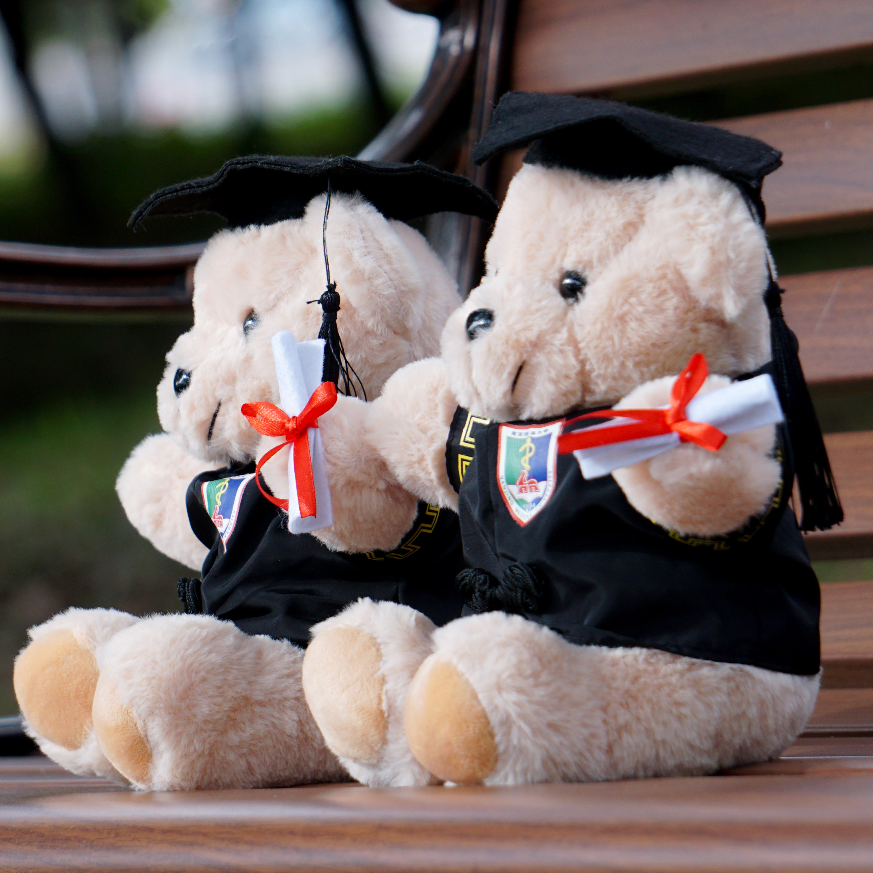 南医学位服小熊