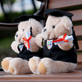 南医学位服小熊