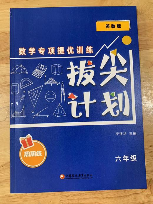 拔尖计划 数学专项提优训练（苏教版）1~6年级 商品图6