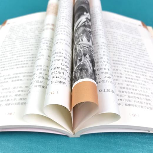 西游记(彩插励志版无障碍阅读)/中小学生阅读指导丛书 商品图4