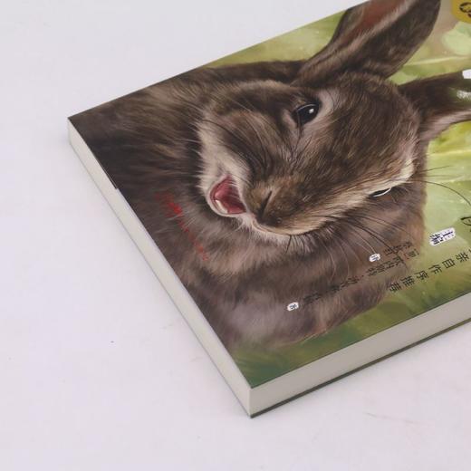 西顿动物记/沈石溪挚爱动物小说系列 商品图2