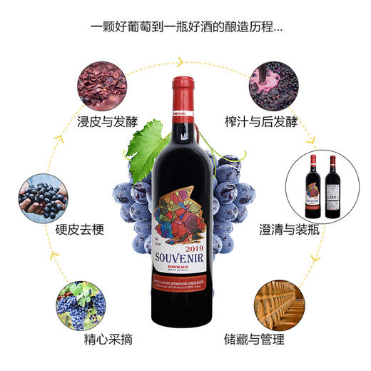 75CL苏薇妮S3干红葡萄酒（酒年份随机发货） 商品图5