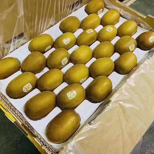 新西兰金果 22规格大果 商品图5