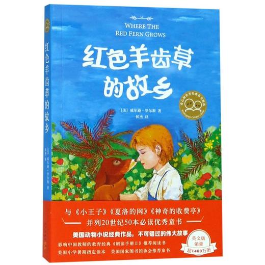 红色羊齿草的故乡 商品图0