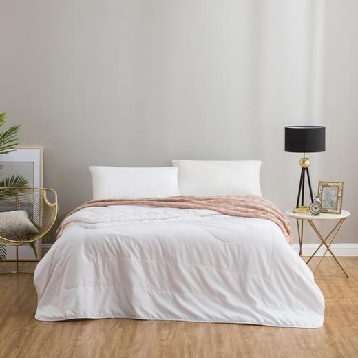 【团购展示】罗莱 甄享蚕丝抗菌春秋被 商品图0