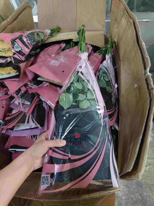 香槟，张良 商品图3