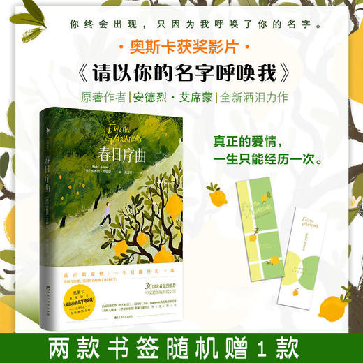 夏日终曲安德烈艾席蒙经典作品请以你的爱找寻我春日序曲冬日恋曲 商品图5