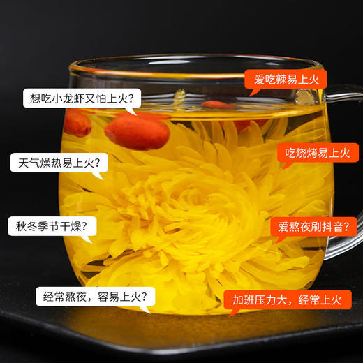 金丝皇菊花茶特级一朵一杯大菊花茶正品大朵黄菊24朵贡菊清热清火 商品图3