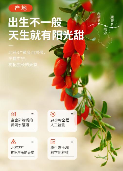 【枸杞原浆】有补气xue/护肝/养shen/明目/提高免疫力/降血脂/减少掉发等功效！坚持喝告别亚健康，喝出好身体！一份33ML*10袋*4盒！ 商品图6