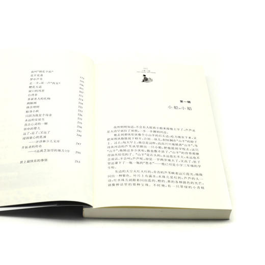 小船小船/黄蓓佳倾情小说系列 商品图4