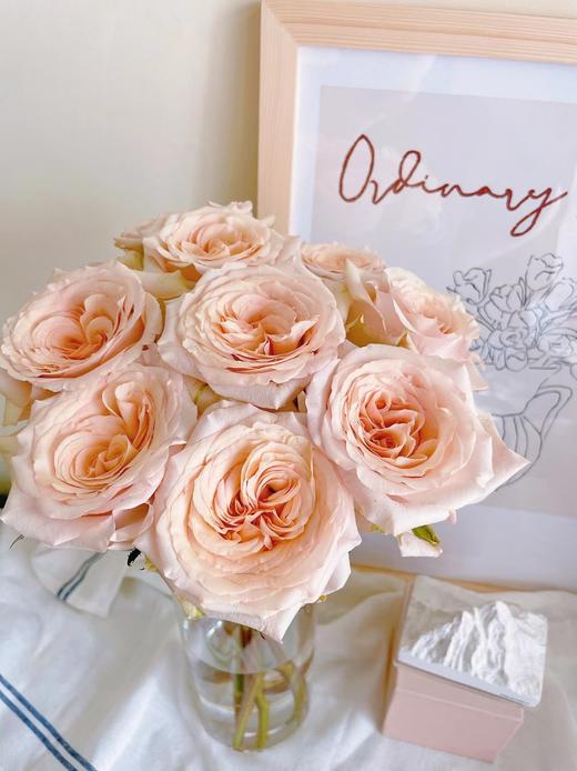 焦糖布丁【拾季】简小姐精选 温柔奶茶色玫瑰 焦糖布丁9+1枝（防花损） 下单3天发货 商品图1