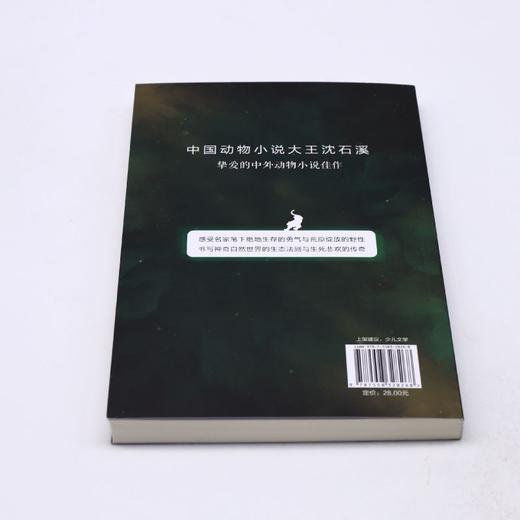丛林之书/沈石溪挚爱动物小说系列 商品图2