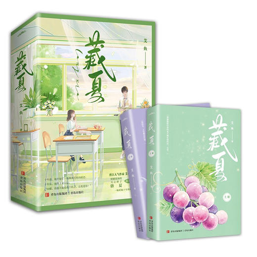 藏夏 艾鱼 著 青春文学 商品图3