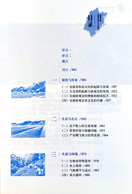 福建安溪铁观音茶文化系统 商品图1