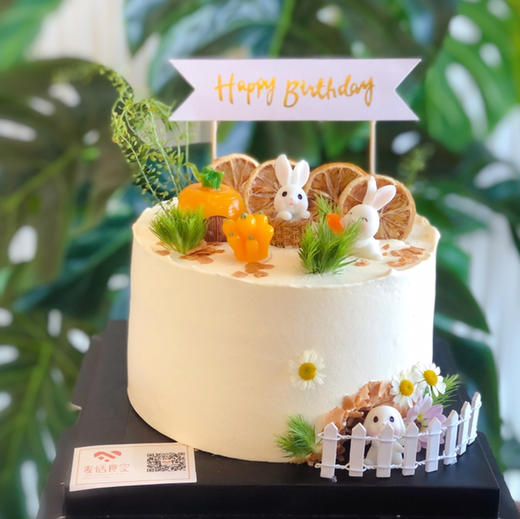 小兔家园（提前1天预定） 商品图0