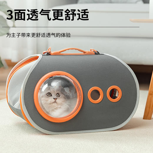 抖音爆款 猫包斜跨猫包宠物包太空宠物包大容量批发便携猫包单肩猫包 商品图4