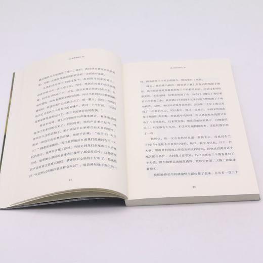 西顿动物记/沈石溪挚爱动物小说系列 商品图4