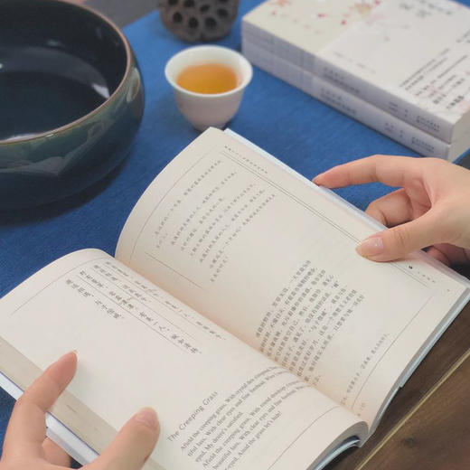 臻美必读经典双语诗集 陆苏 吴俣阳 闫红 著；许渊冲 译 长江文艺出版社 商品图2