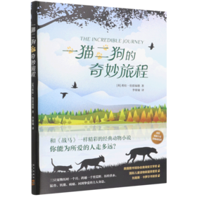 一猫二狗的奇妙旅程