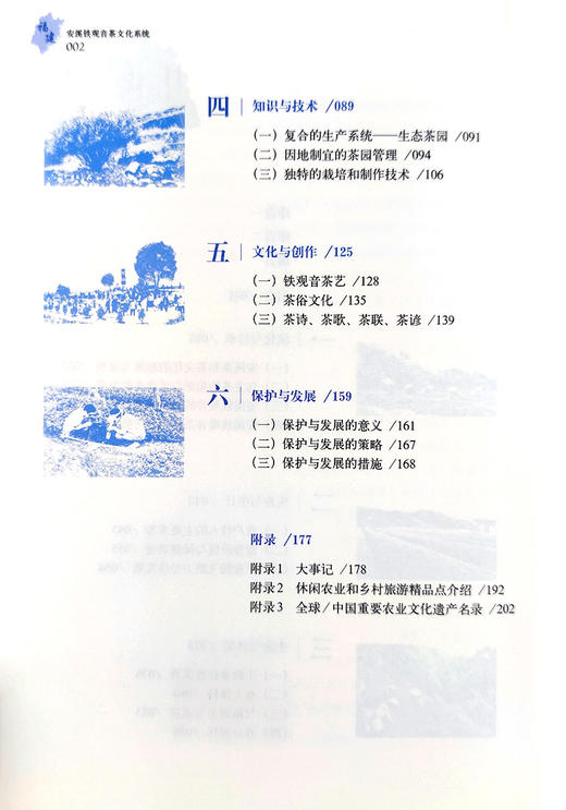 福建安溪铁观音茶文化系统 商品图2