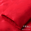 天寿系列-丹霞 红色 商品缩略图7