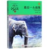 最后一头战象(升级版)/动物小说大王沈石溪品藏书系 商品缩略图0