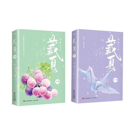 藏夏 艾鱼 著 青春文学 商品图1