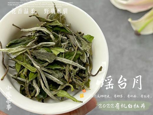 【1斤收藏装】2022有机白牡丹，开在仙山旷野的高岭之花 商品图5