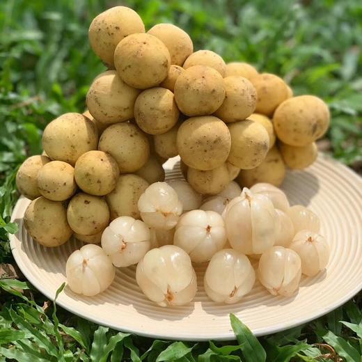 泰国龙宫果 商品图0